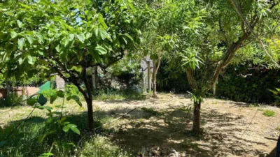 Chalet in Can Rial photo 39