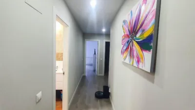 House in El Taio photo 33