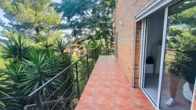 House in El Taio photo 3