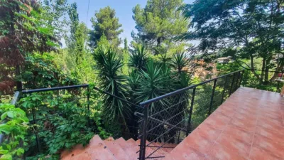 House in El Taio photo 4