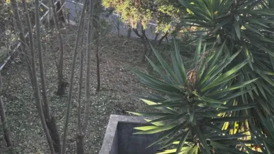 House in El Taio photo 60
