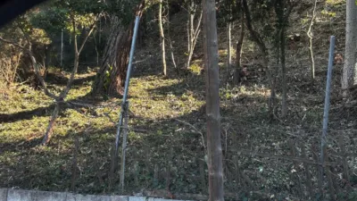 House in El Taio photo 68