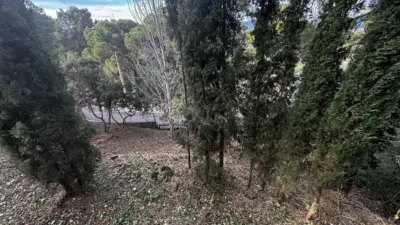 House in El Taio photo 74