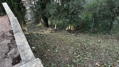 House in El Taio photo 76