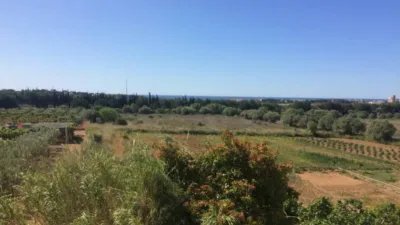 Rustic Finca in Ponent - Barri de França photo 17