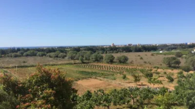 Rustic Finca in Ponent - Barri de França photo 19