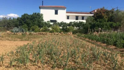 Rustic Finca in Ponent - Barri de França photo 3