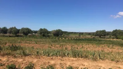 Rustic Finca in Ponent - Barri de França photo 62