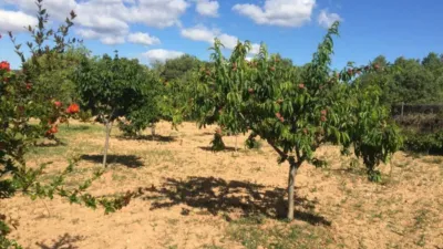 Rustic Finca in Ponent - Barri de França photo 66