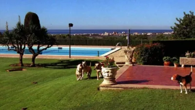 Rustic Finca in Oasis photo 37