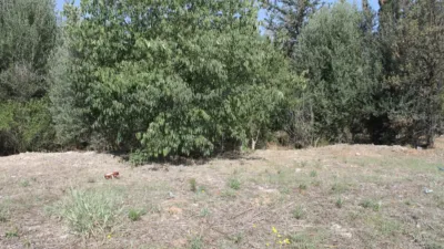 Terreno en alquiler en La Flora, Olesa de Montserrat