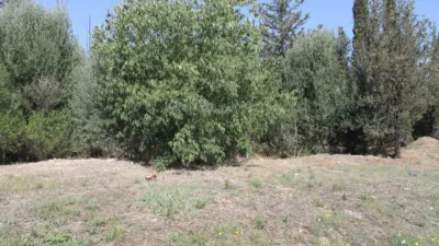 Terreno en alquiler en La Flora, Olesa de Montserrat