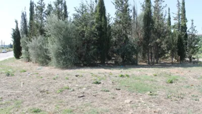 Terreno en alquiler en La Flora, Olesa de Montserrat