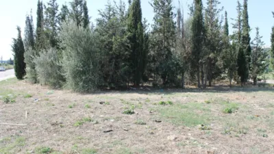 Terreno en alquiler en La Flora, Olesa de Montserrat