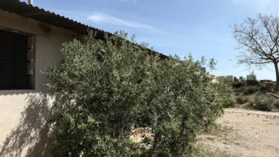 Chalet on Calle Horna Alta photo 14