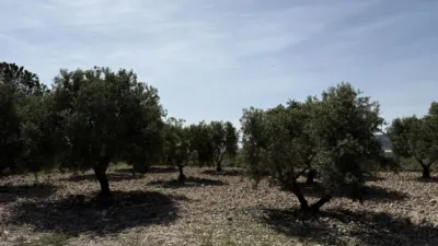 Chalet on Calle Horna Alta photo 15