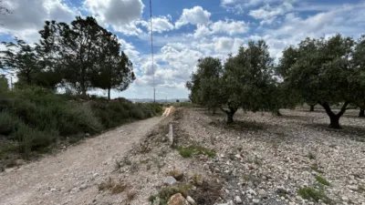 Chalet on Calle Horna Alta photo 9