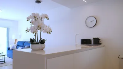 Penthouse on Calle Tomello photo 8