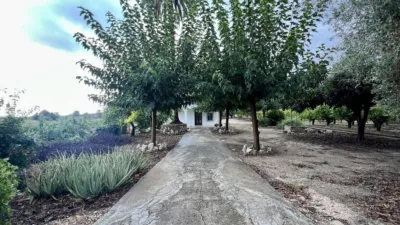 Rustic finca in the Valencian Community photo 3