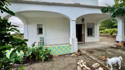 Rustic finca in the Valencian Community photo 5
