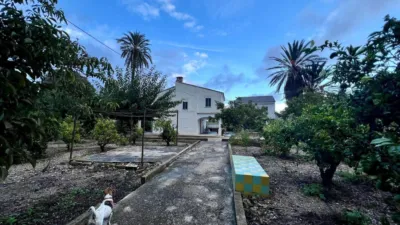 Rustic finca in the Valencian Community photo 62