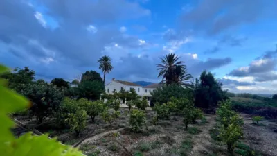 Rustic finca in the Valencian Community photo 66