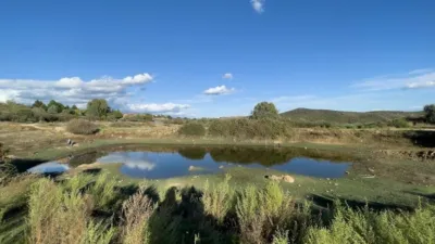 Finca rústica en venta en Carretera de Torremenga, Torremenga de 635.000 €