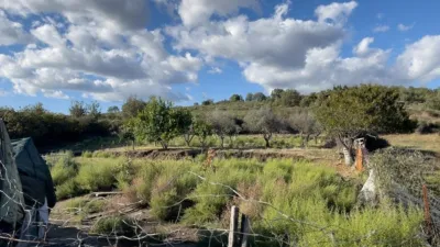 Finca rústica en venta en Carretera de Torremenga, Torremenga de 635.000 €