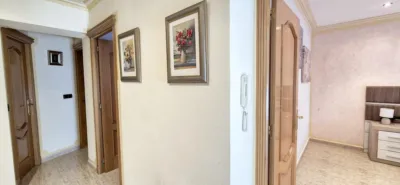 Apartment in Elche photo 13