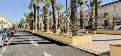 Apartment in Elche photo 30