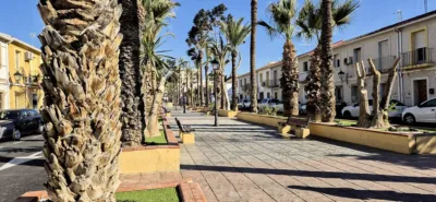 Apartment in Elche photo 32