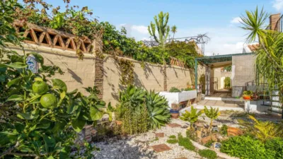 Rustic finca on Diseminados street photo 4