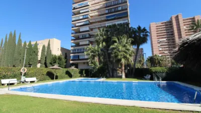Pis – Alacant / Alicante, l'Albufereta, l'Alacantí - Vista 3