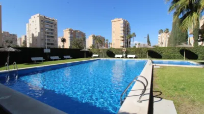 Pis – Alacant / Alicante, l'Albufereta, l'Alacantí - Vista 5