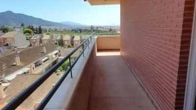 Apartment in El Secano photo 18