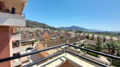 Apartment in El Secano photo 21