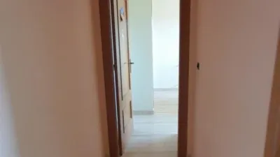 Apartment in El Secano photo 30