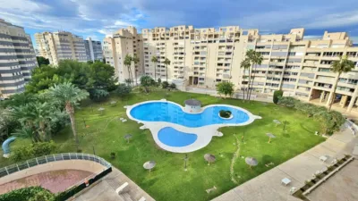 Apartment in Playa Muchavista photo 21
