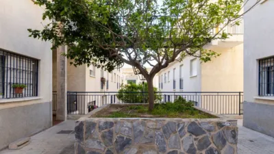Duplex on Juan Cuadrado Street photo 29