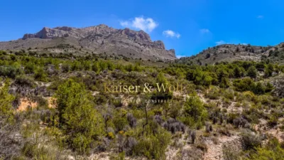 Casa - Vista 5