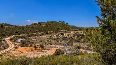 Casa - Más