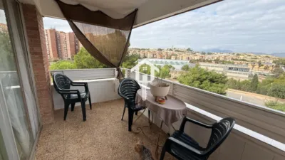 Apartment on Calle del Pintor Pedro Camacho photo 43
