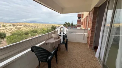 Apartment on Calle del Pintor Pedro Camacho photo 45