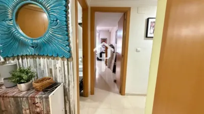 Piso – Sant Vicent del Raspeig - San Vicente del Raspeig - Vista 5