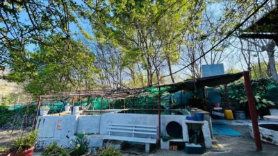 Finca rústica en venta en Carretera N-110 - Vista 6