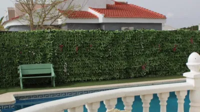 Casa – Torrevieja - Més