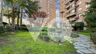 Apartment on Calle de Alfredo Marquerie photo 45