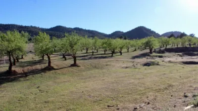 Rustic Finca for Sale in Venta del Fraile photo 18