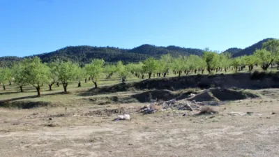 Rustic Finca for Sale in Venta del Fraile photo 19