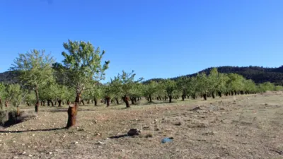 Rustic Finca for Sale in Venta del Fraile photo 20